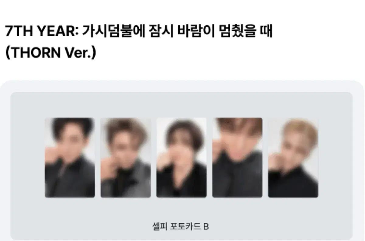투바투 개인반 앨범 분철 THORN 버전