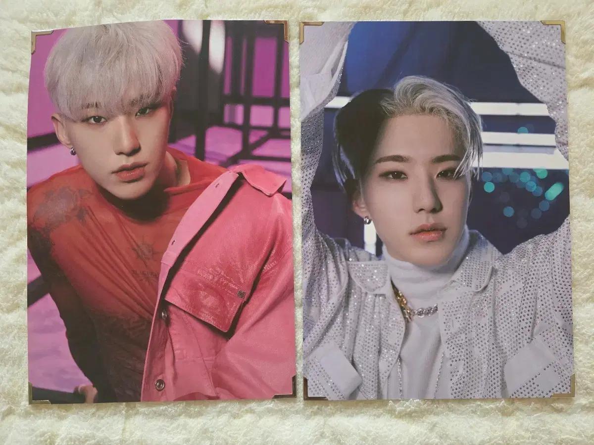 호시 스파이더 프리미엄 포토 일괄