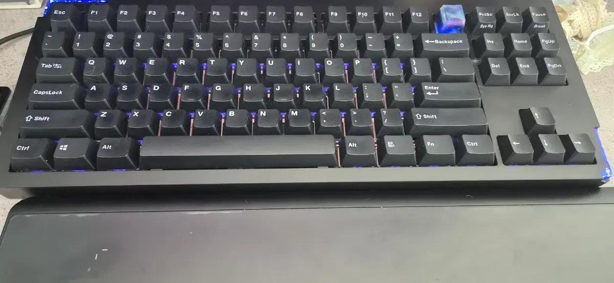레오폴드 oem 블랙퍼플 키캡