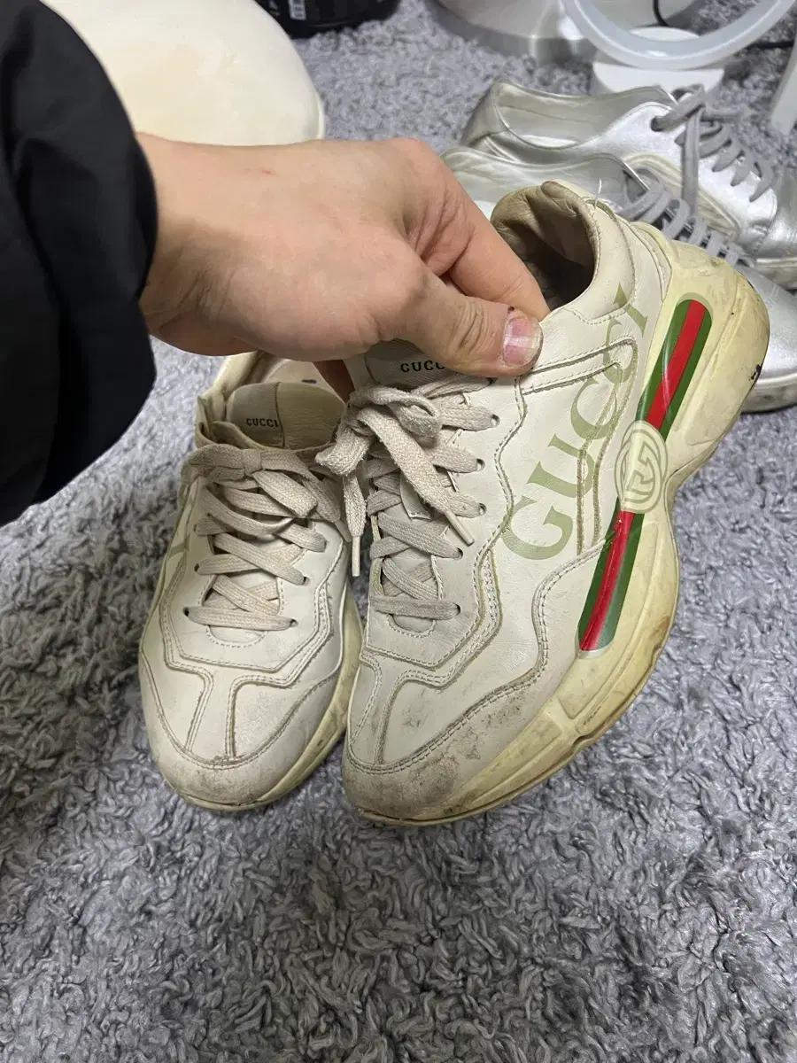구찌 Gucci 라이톤 띠 로고 여성 어글리슈즈 240-245