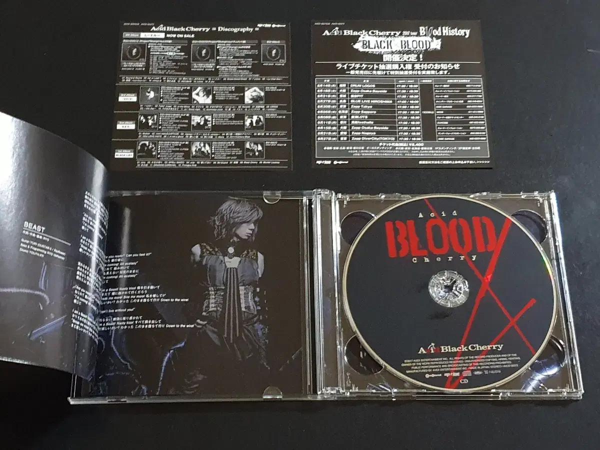 애시드블랙체리 앨범 Acid BLOOD Cherry 한정반 잔다르크