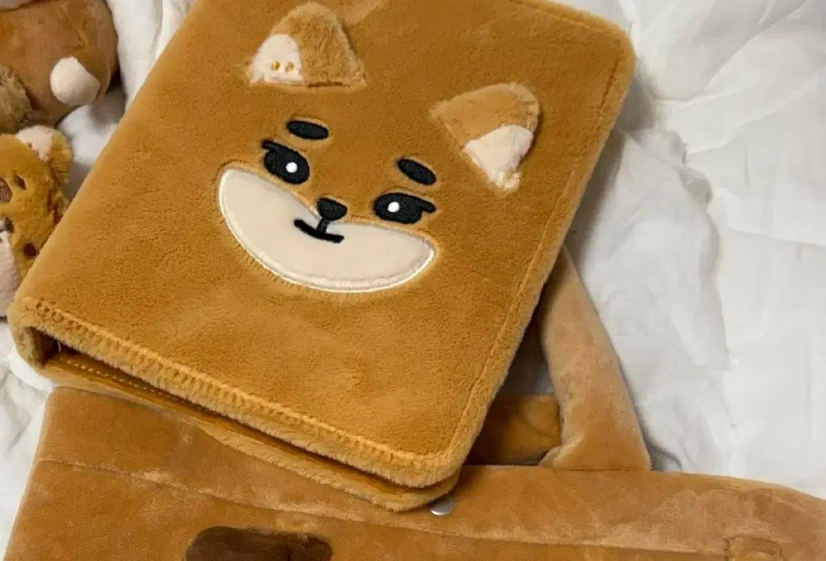 데이식스 데니멀즈 케 영케이 바인더