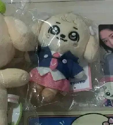 미개봉 원가) 아이브 미니브 강안지 스쿨 플러시 유진 교복 포카