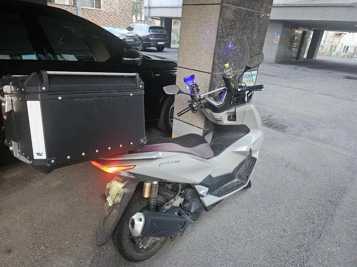 25년3월식 pcx125 파라요..