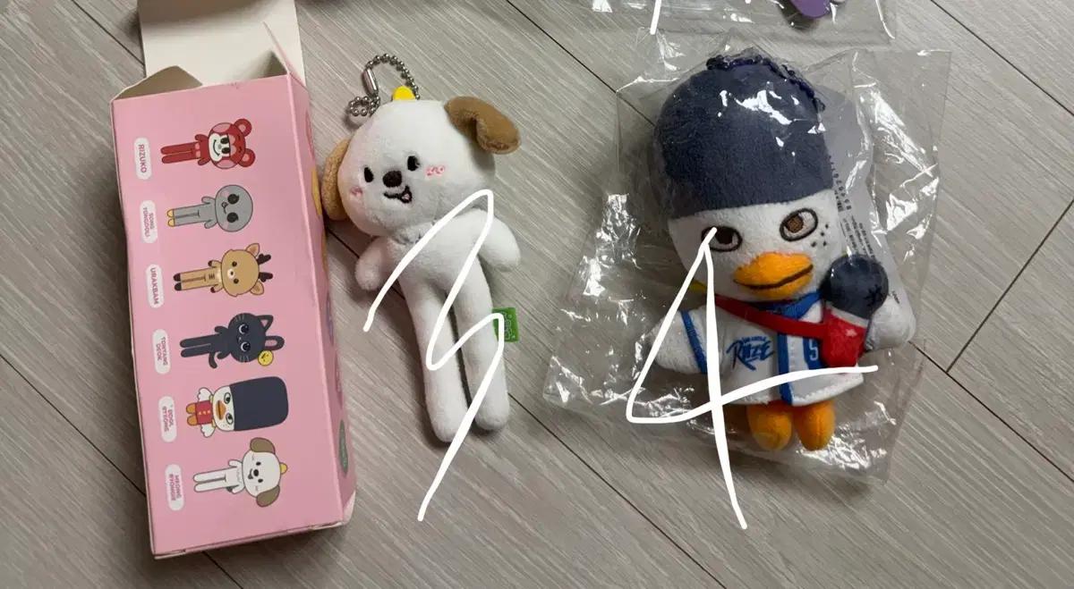 라이즈 멍룡이 똘병이 앤톤 소희