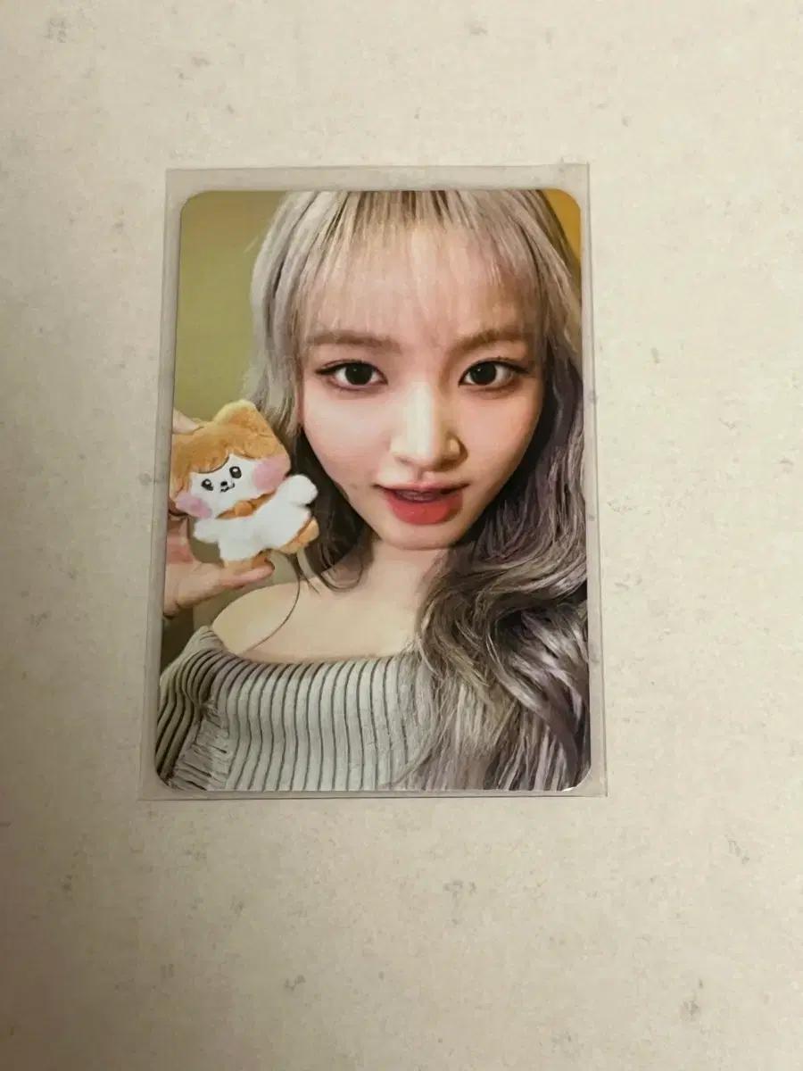 아이브 리즈 포카