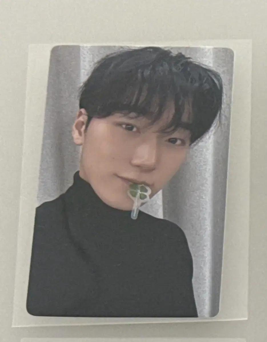 클로버 에이티즈 산 포카