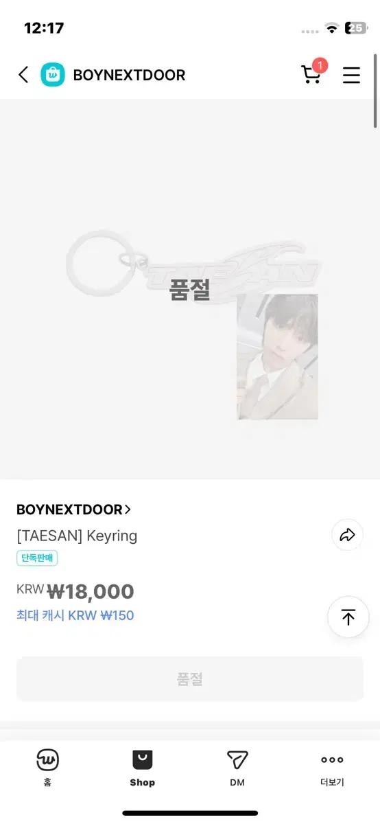 BOYNEXTDOOR 태산 19.99 키링