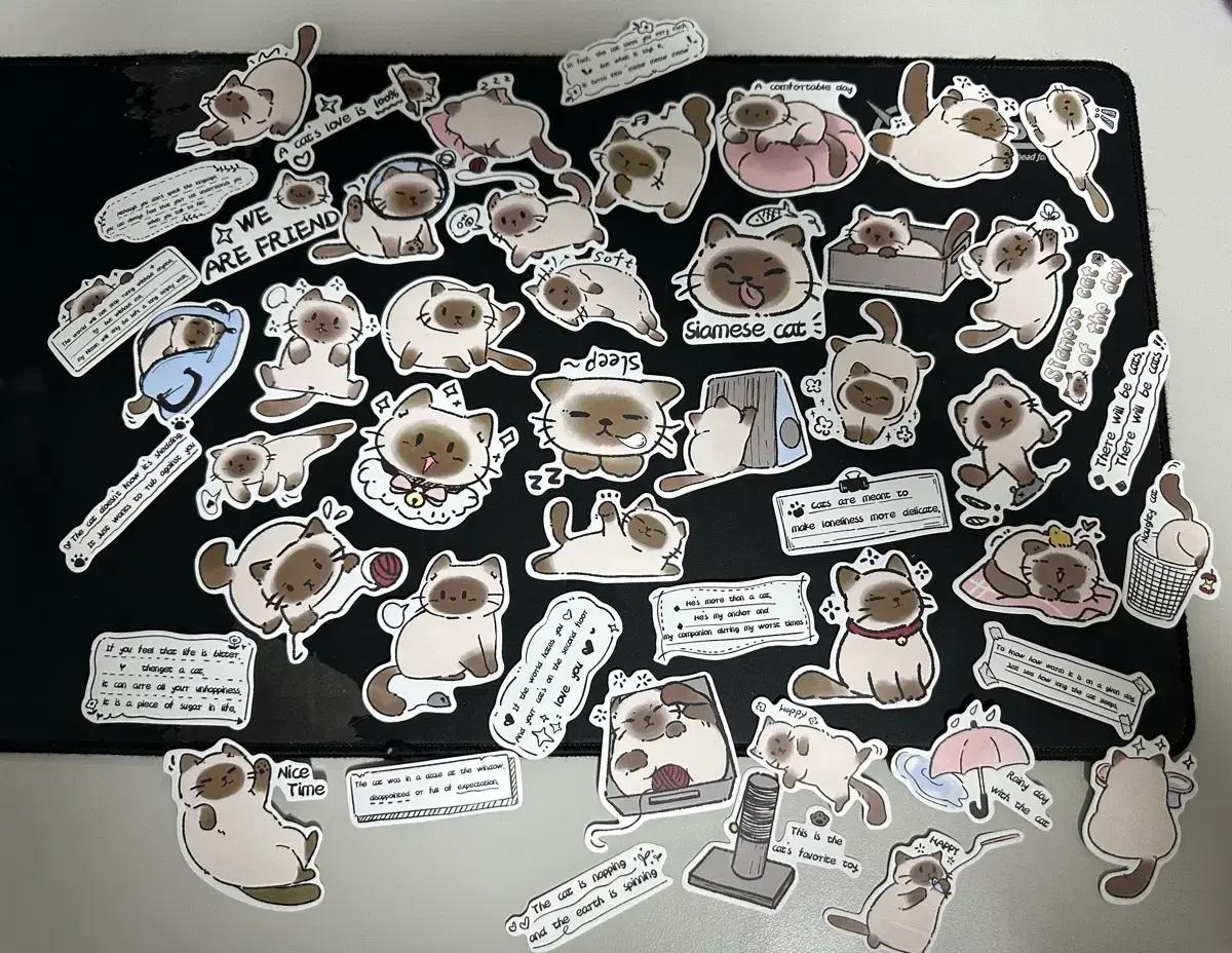 고양이 스티커 50종(무료배송)