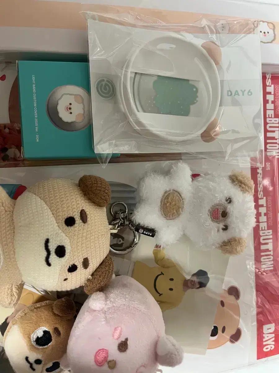 데이식스 일괄 처분 ( 마데링 반지 포함)