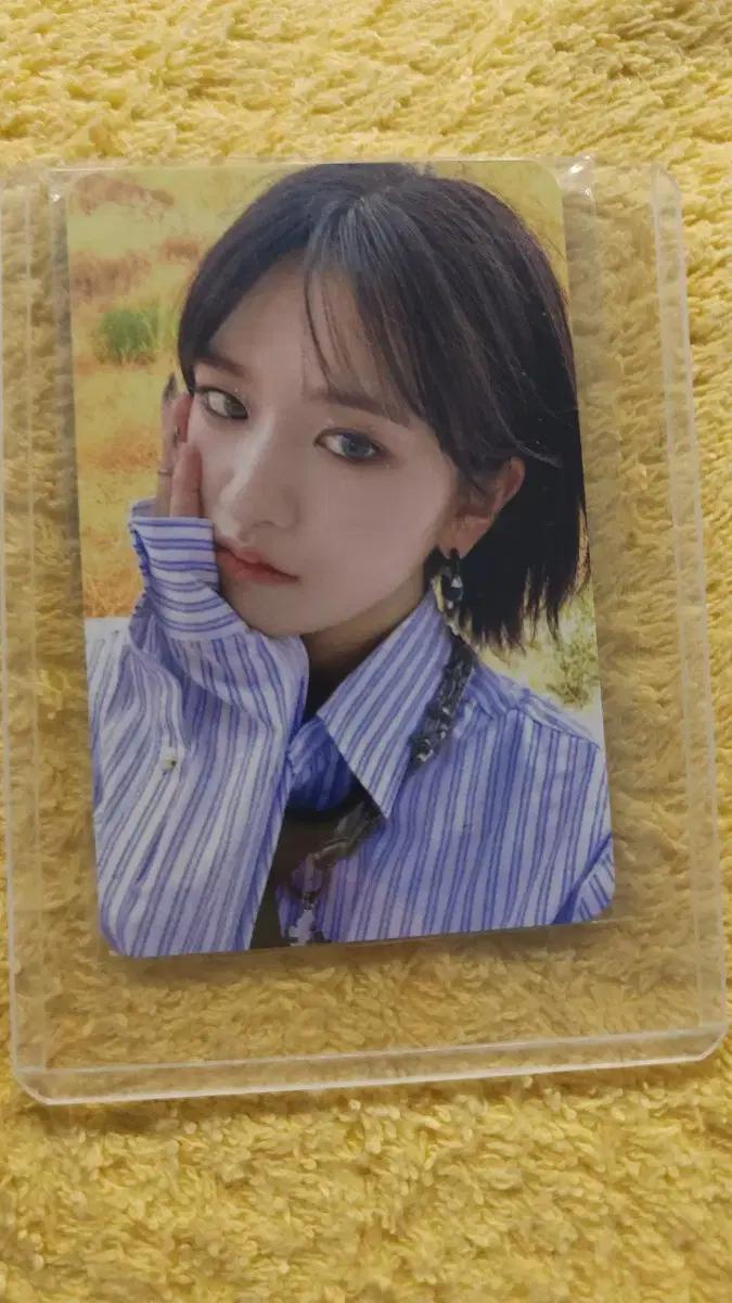 안유진 배디 공방 포카 양도 IVE YUJIN