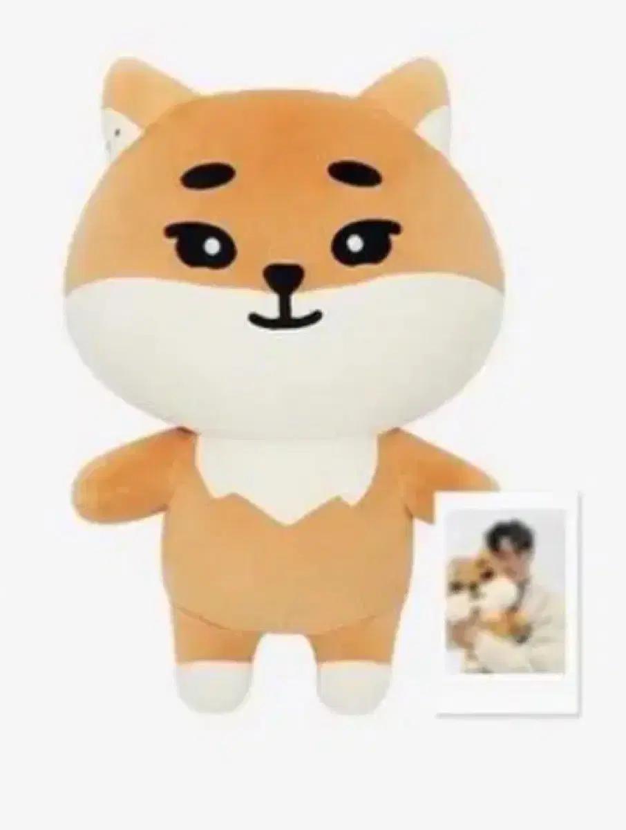 구해요 데이식스 자데멀 자멀 자이언트 데니멀즈 케