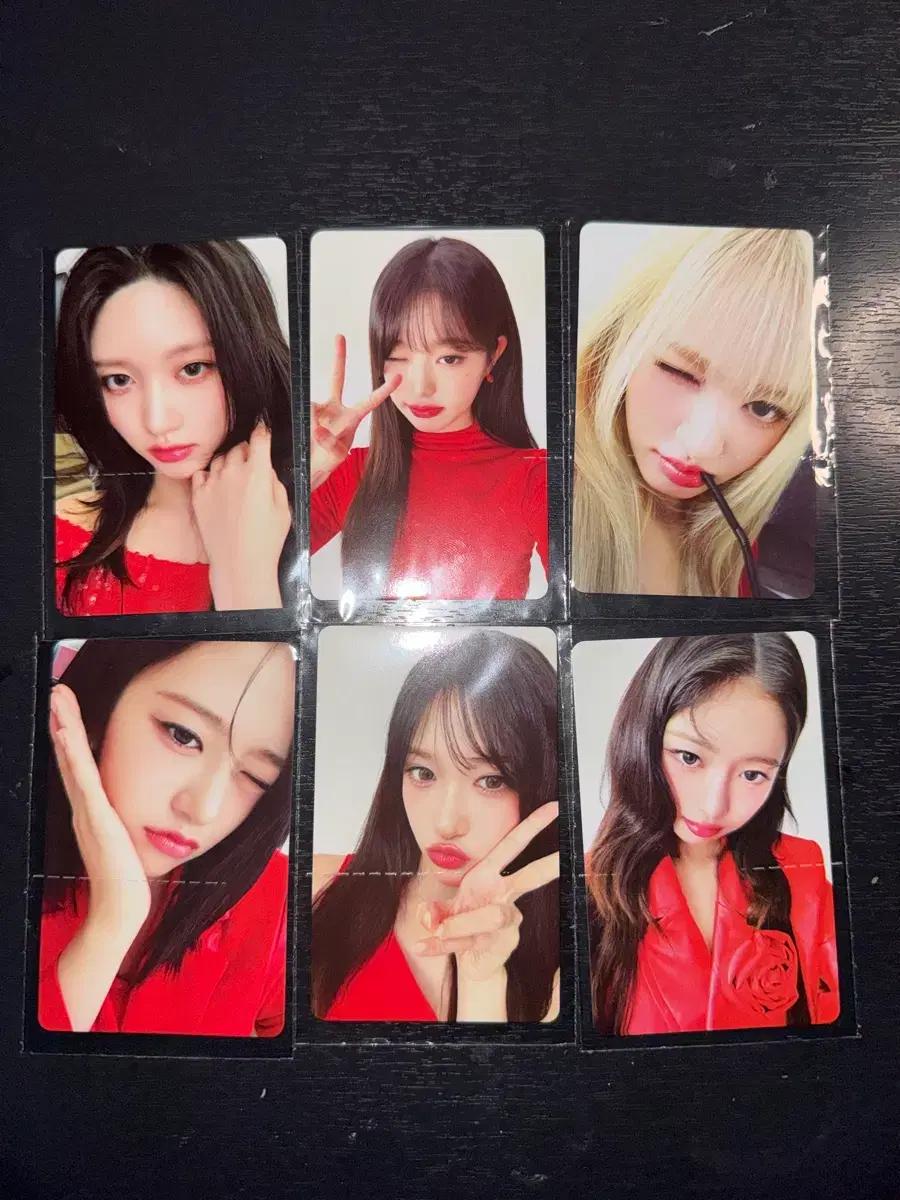 아이브 파파존스 포카판매