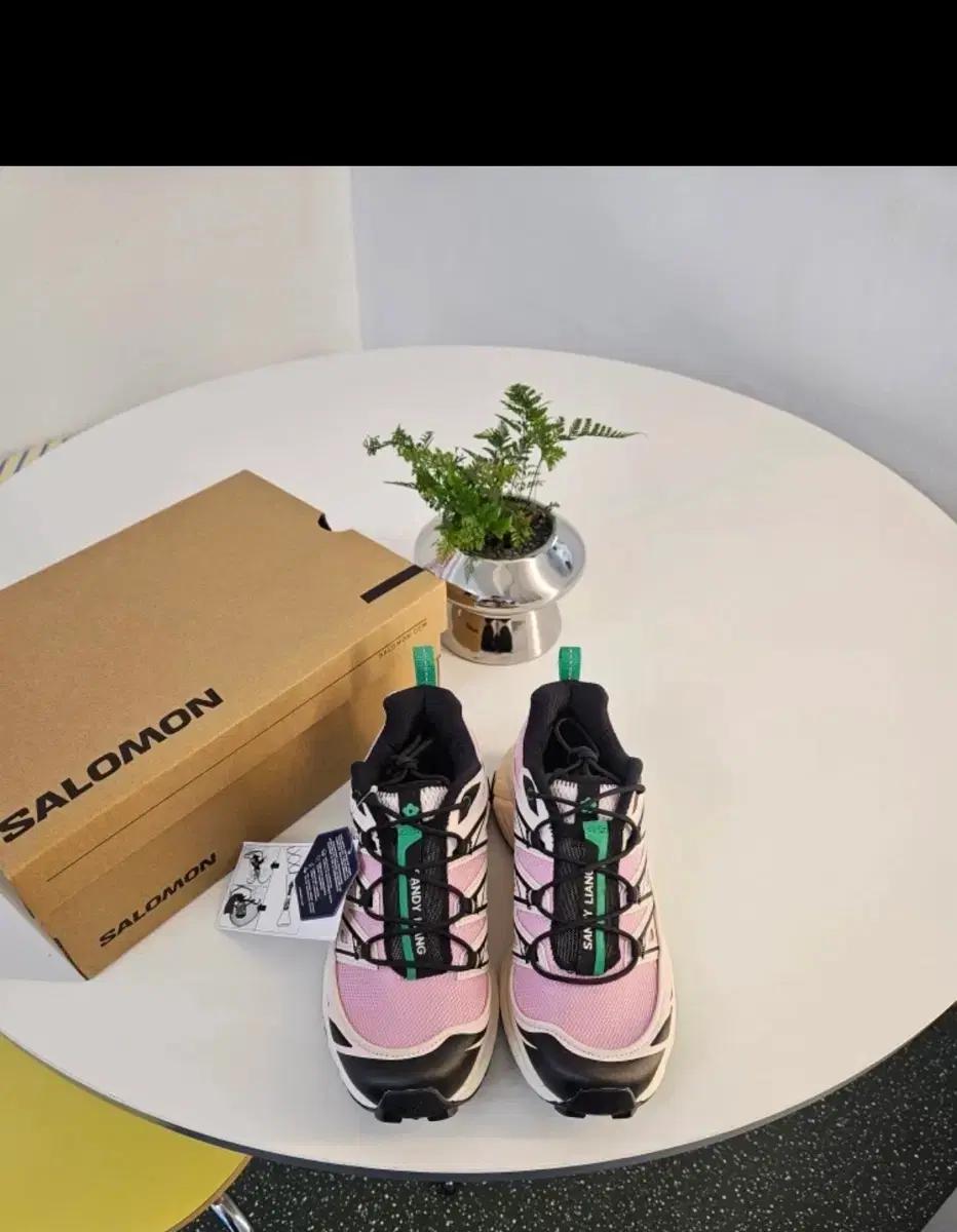 Salomon x Sandy Liang XT-6 Expanse Cradl