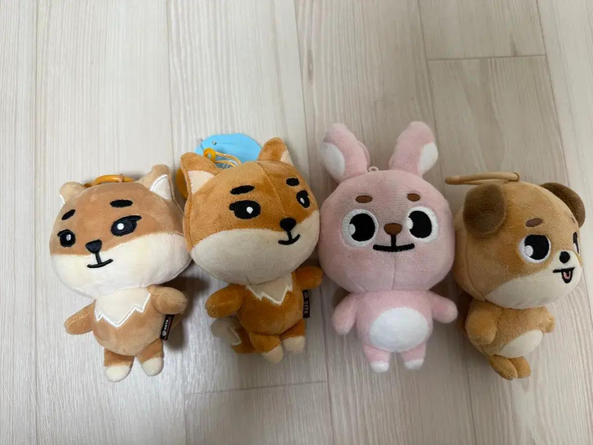 데이식스 데니멀즈 18케