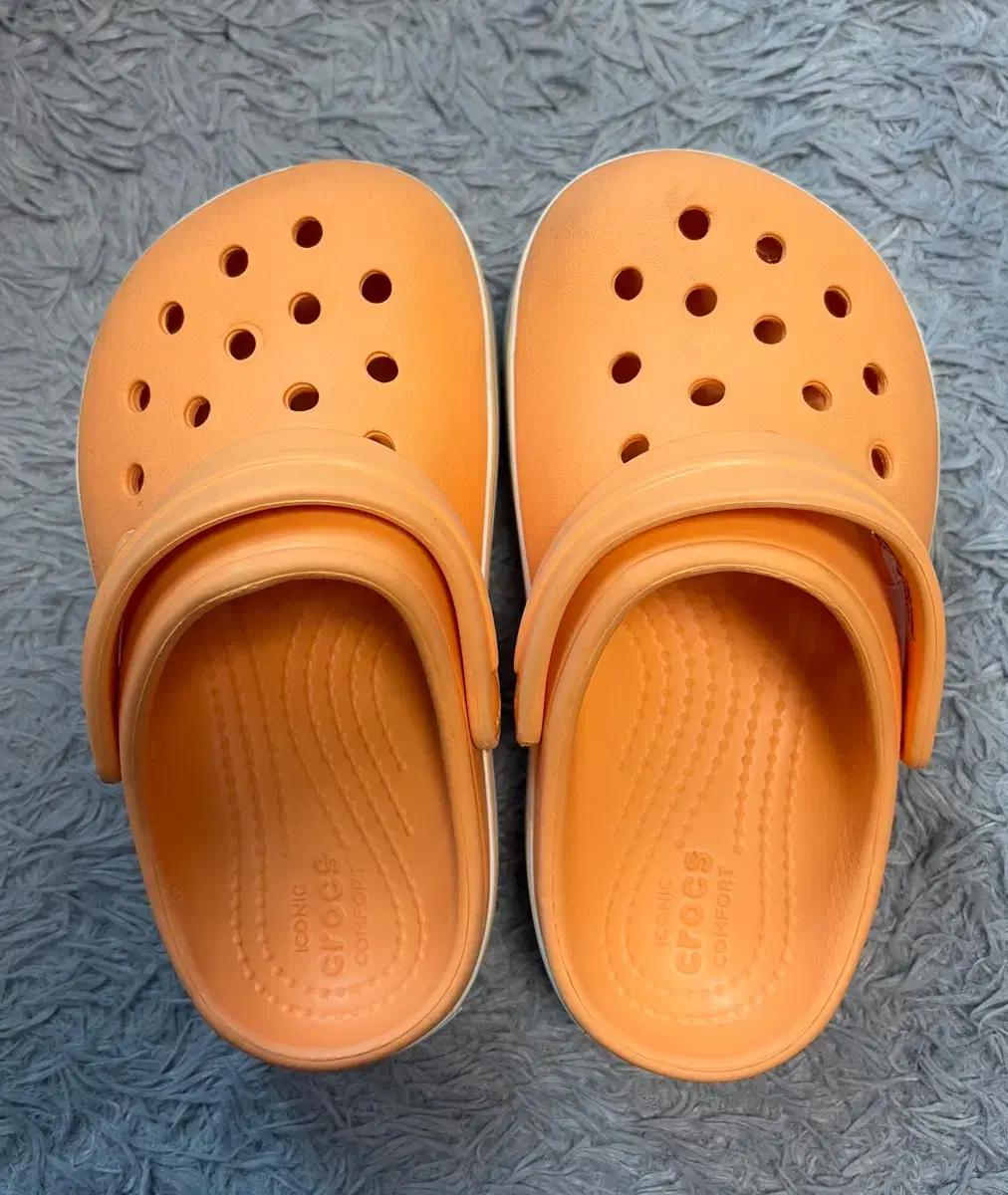 크록스 C12