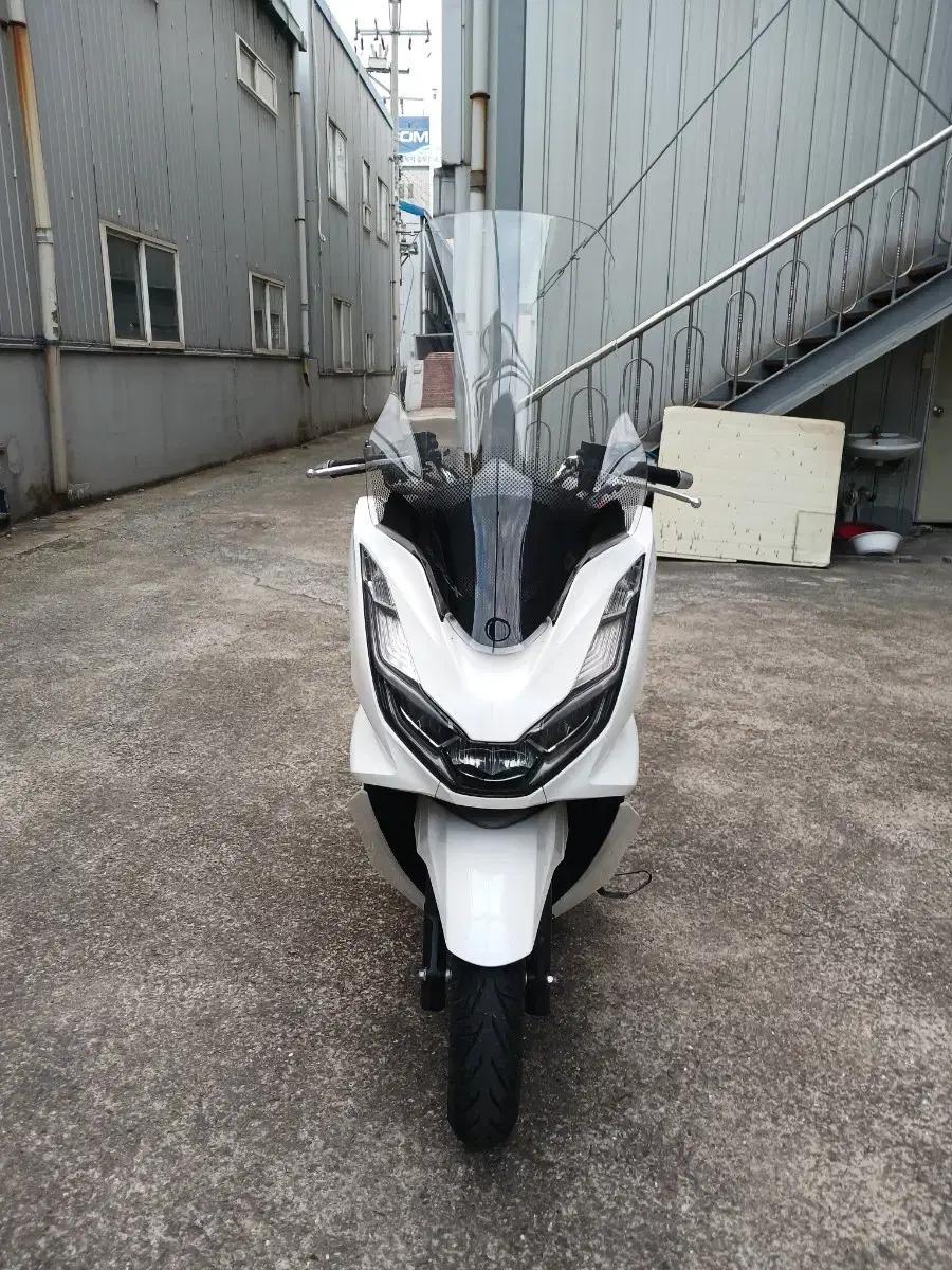 부산 22년식 PCX125 ABS 판매합니다.