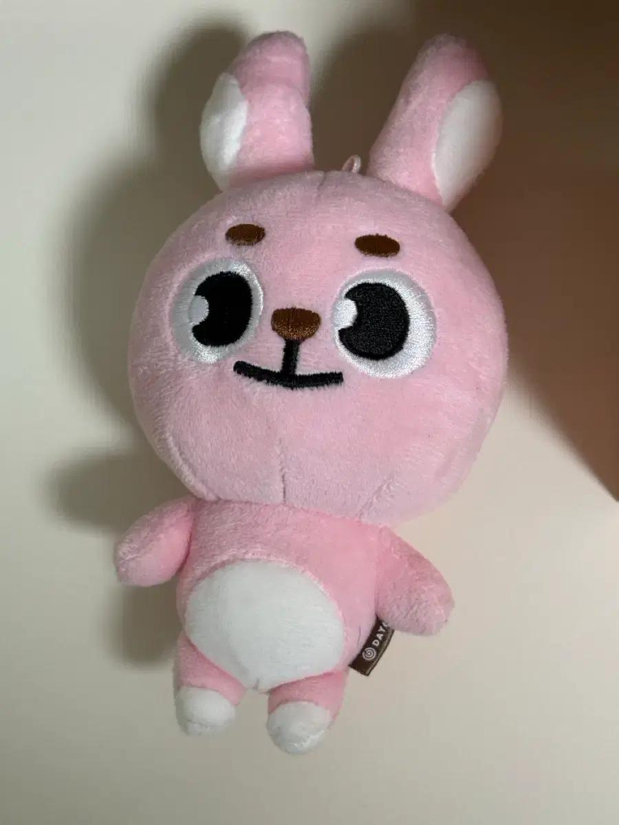 데이식스 인형 데니멀즈 20필 필끼 구버전 양도