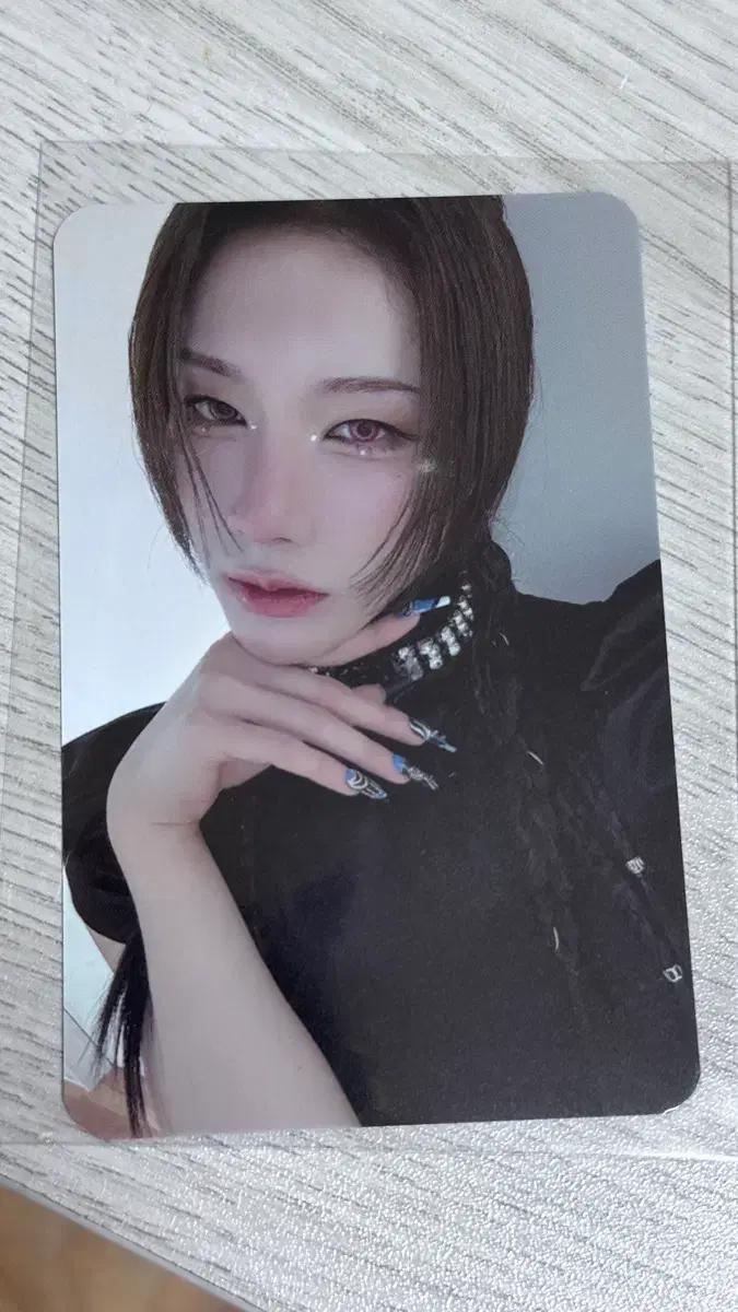 엑스러브 (XLOV) 루이 미공포 포카