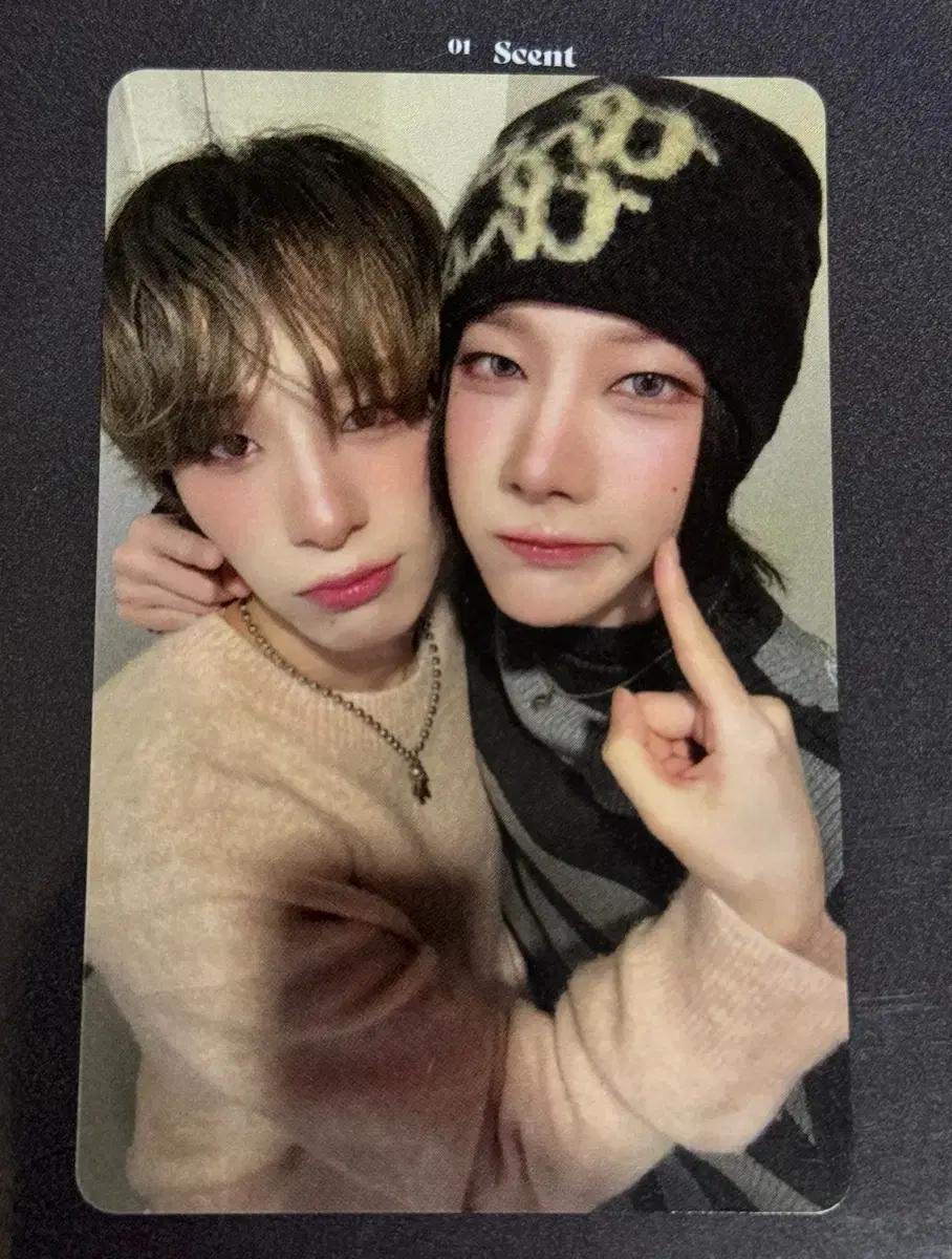 엑스러브 (XLOV) 루이&하루 미공포 포카
