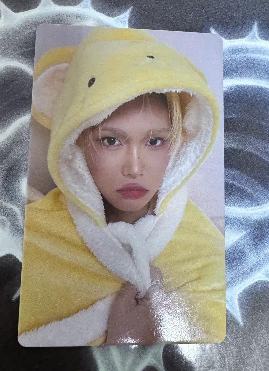 엑스러브 (XLOV) 현 미공포 포카