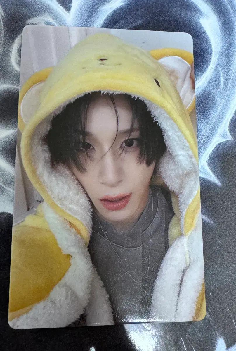 엑스러브 (XLOV) 하루 미공포 포카