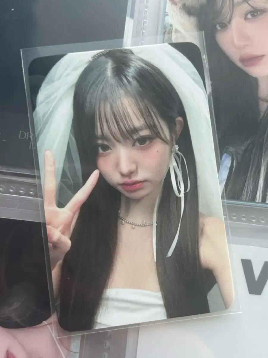 아이브 웨딩녕 급처