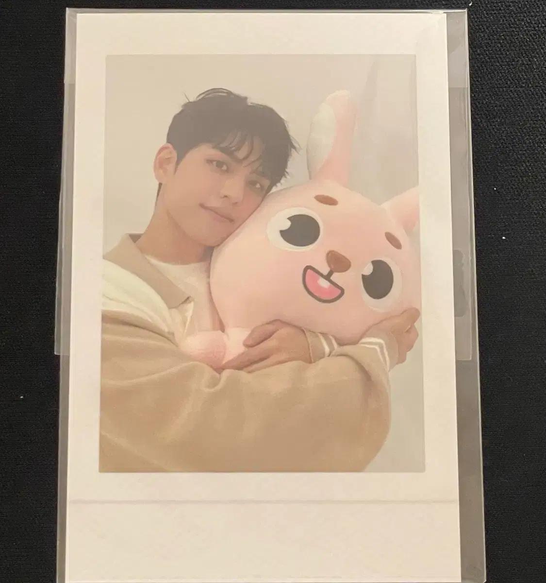 데이식스 24클콘 MD 자이언트 데니멀즈 필끼 포카 원필