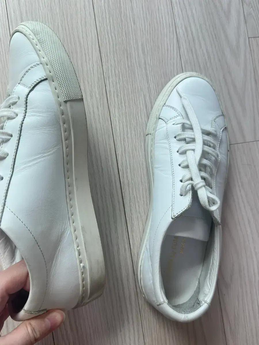 커먼프로젝트 아킬레스 로우 3701 36 235,240