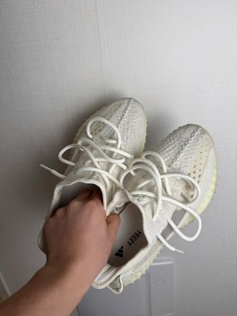 아디다스 이지부스트 v2 본 260