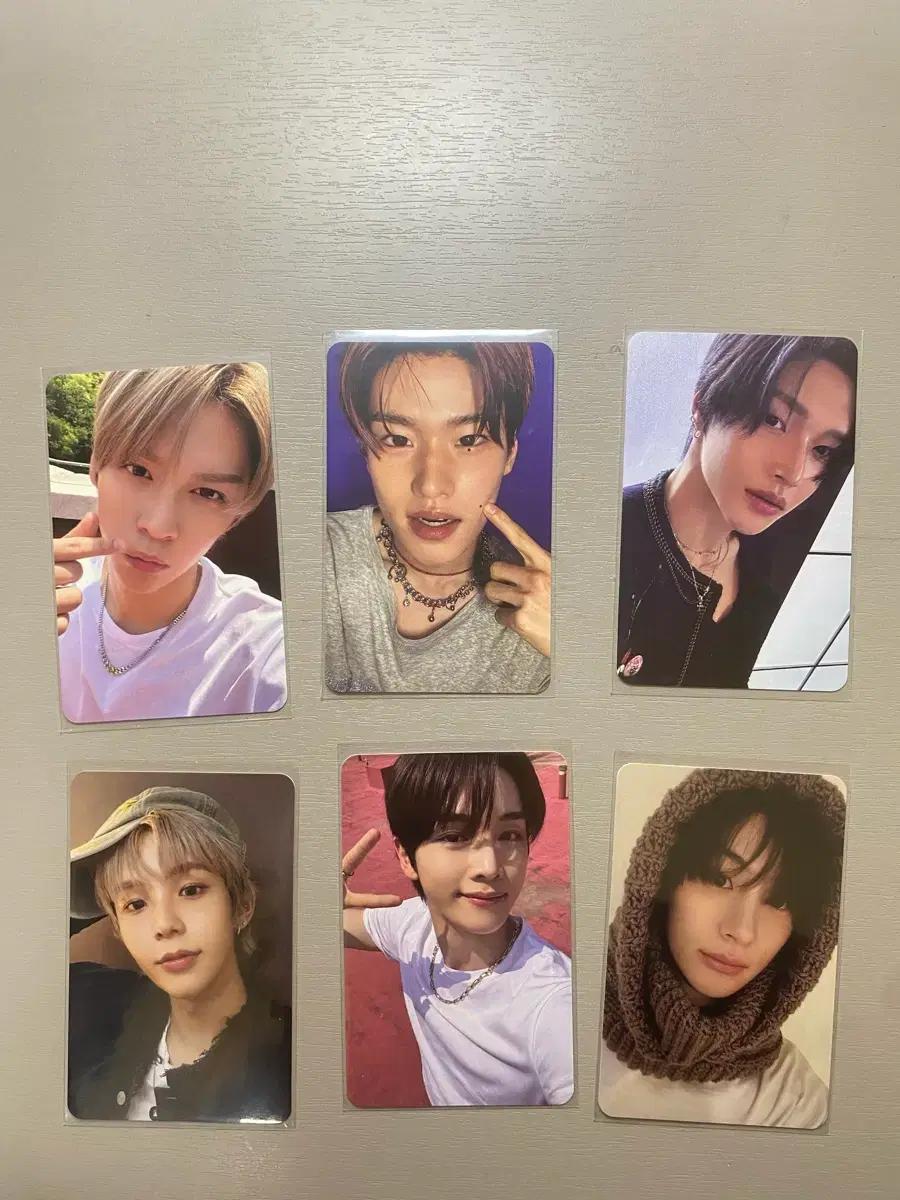 라이즈포카