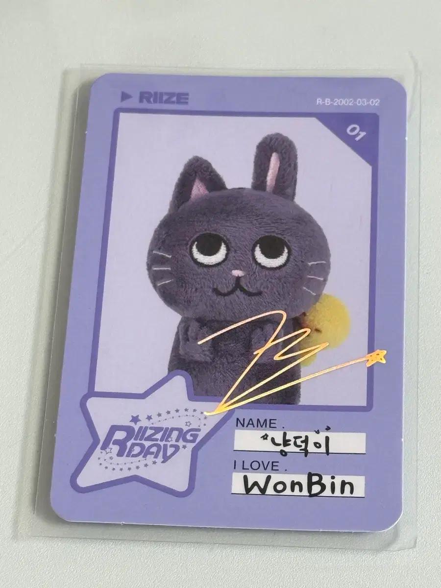 라이즈 라이징데이 토냥덕 포카