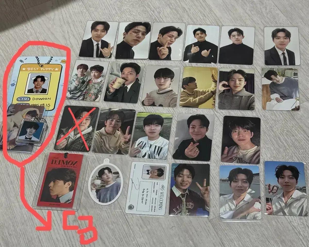 [폭덤!] 데이식스 도운 포카 일괄 양도