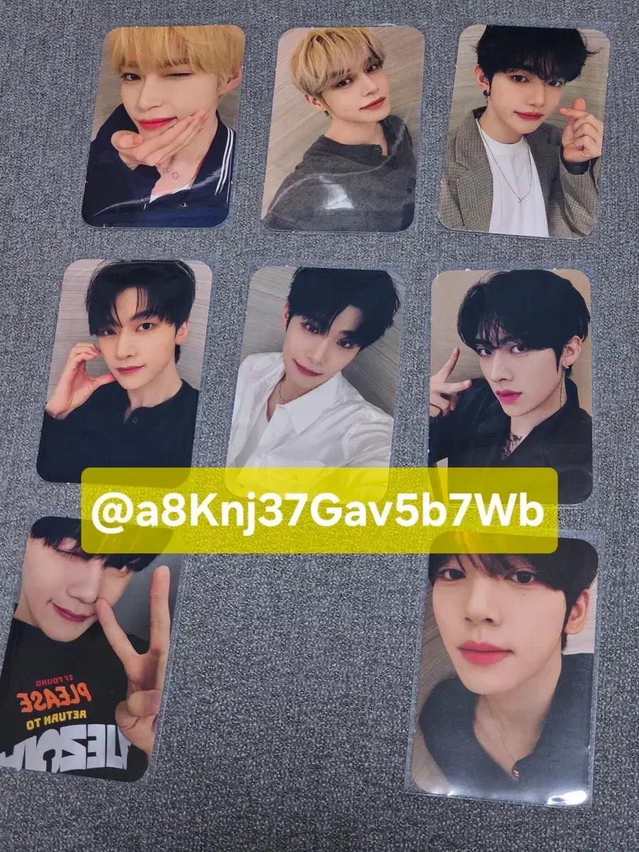 제베원 홍콩 막콘 기프트 포카 8장 세트 제로베이스원 ZB1