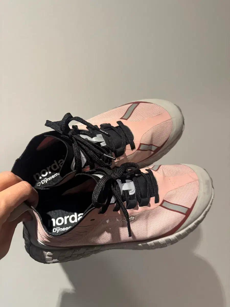norda 001 LTD edition 아홀로틀 (280)