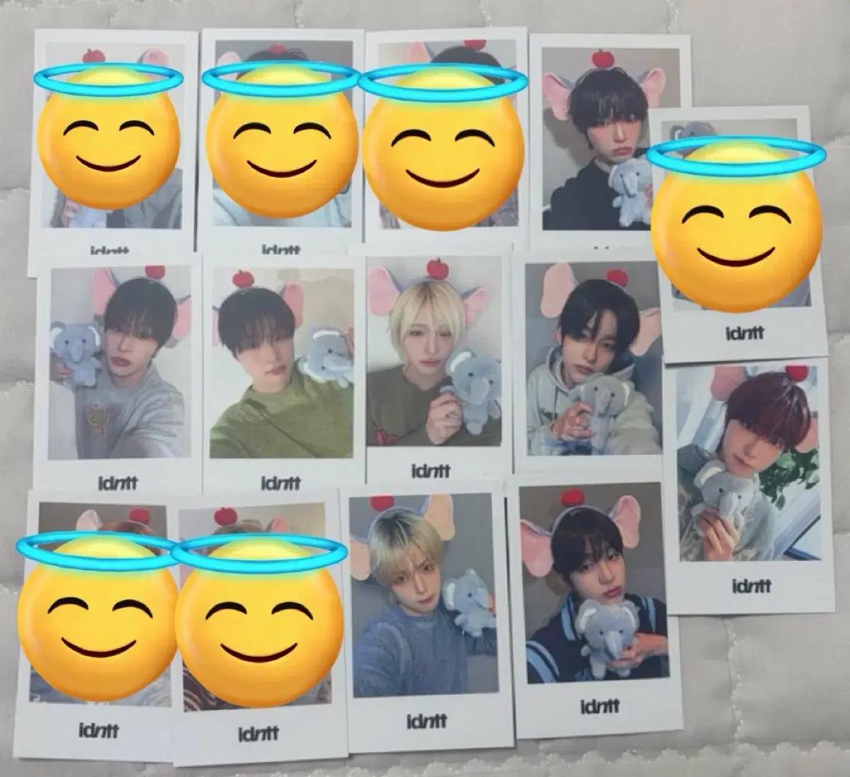 아이덴티티 idntt 260304 헬로라이브 영통 코끼리 미공포 양도