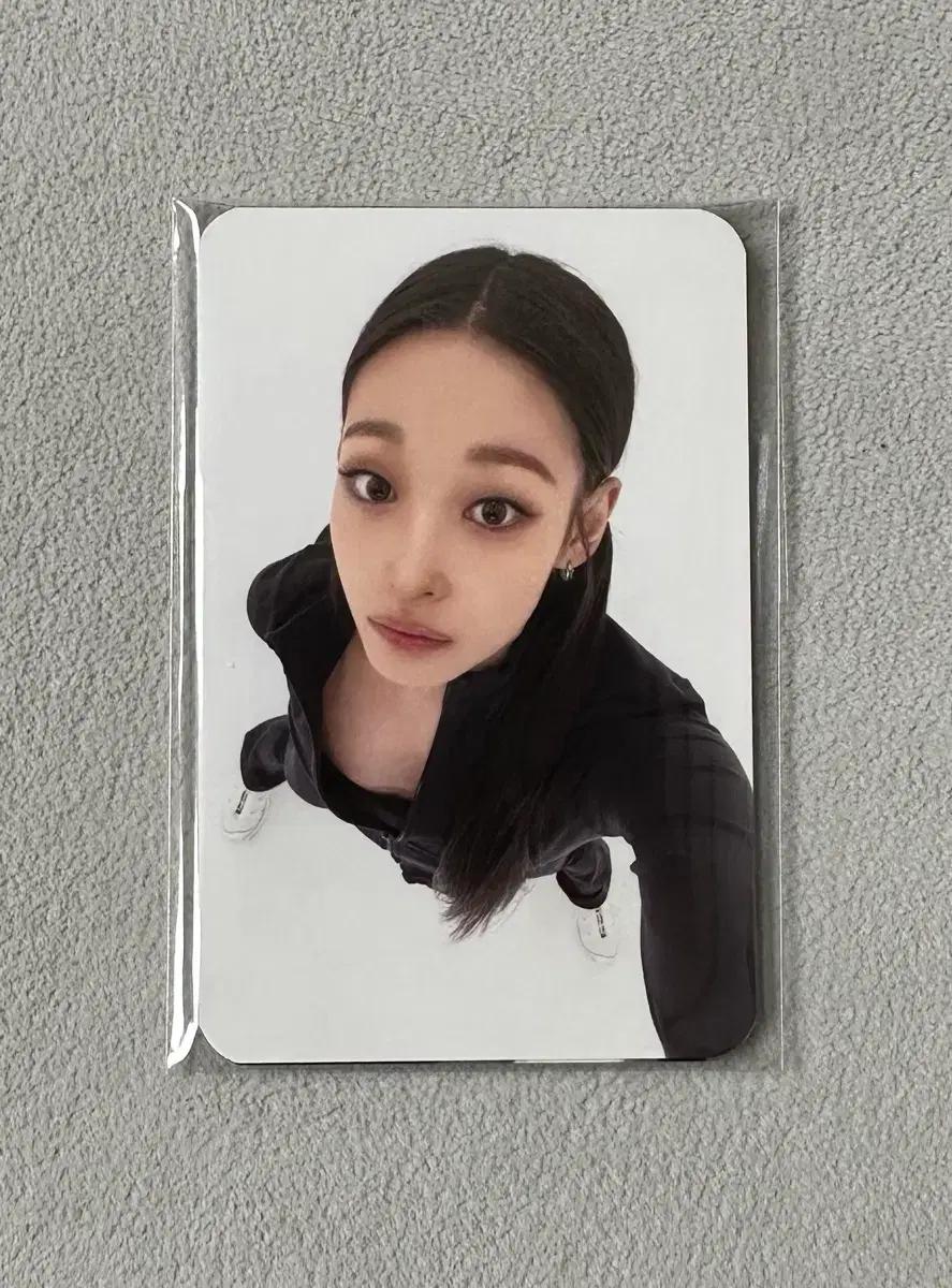 올데이프로젝트 올데프 vt 포카