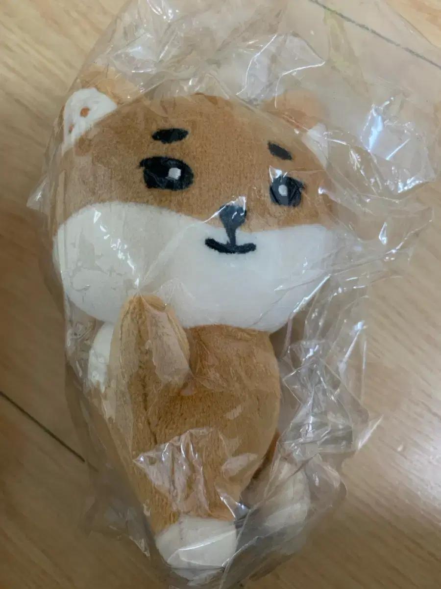 데이식스 데니멀즈 케 손난로(원가양도)