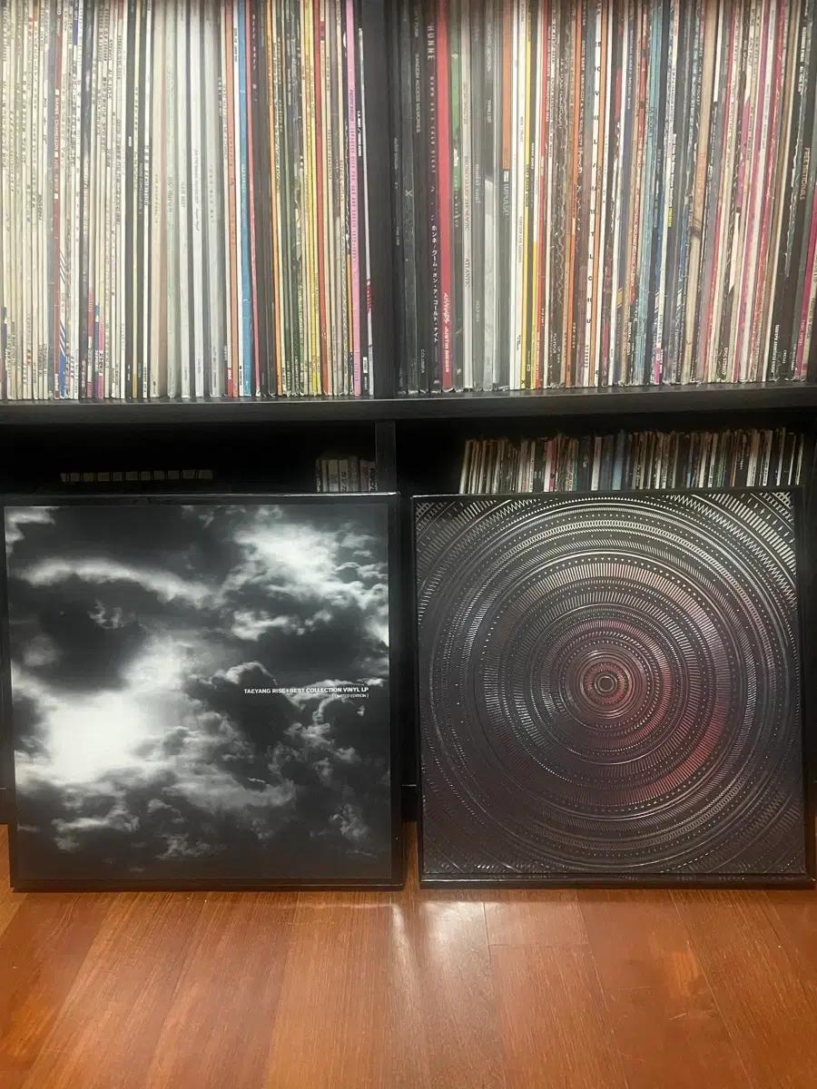 태양 taeyang 라이즈 베스트 LP (한정판)