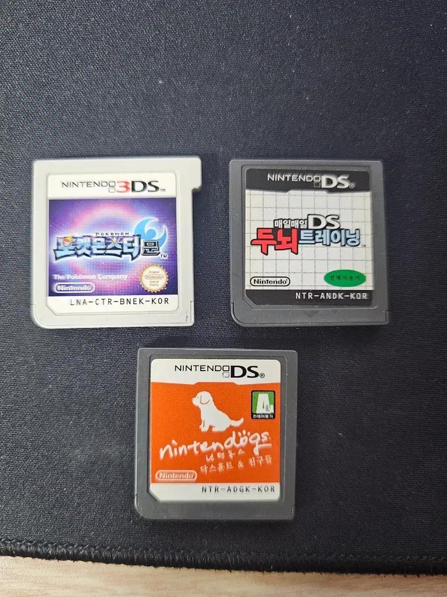 닌텐도 DS/3DS 게임칩