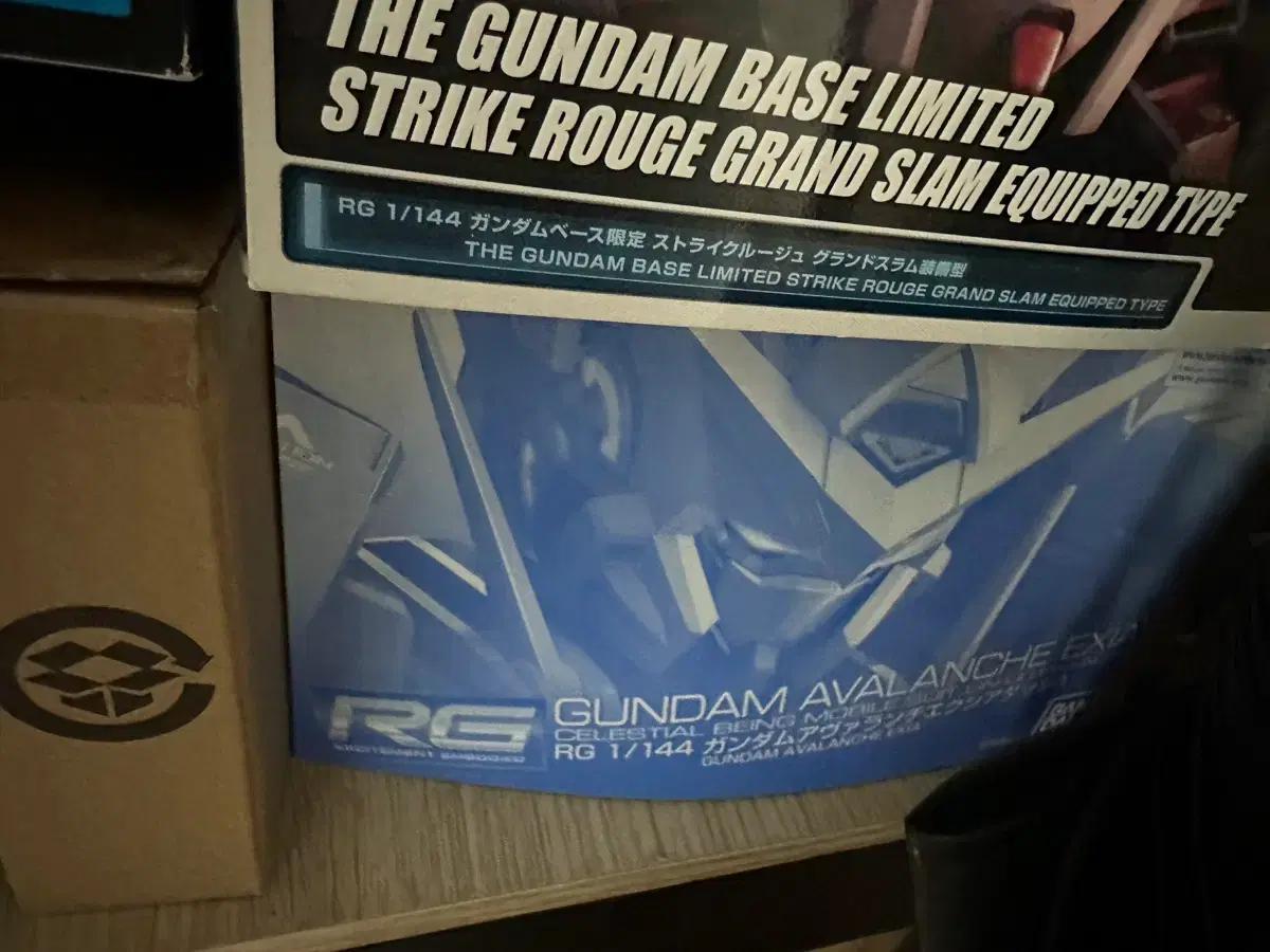 RG 아발란체 엑시아 건담 새상품