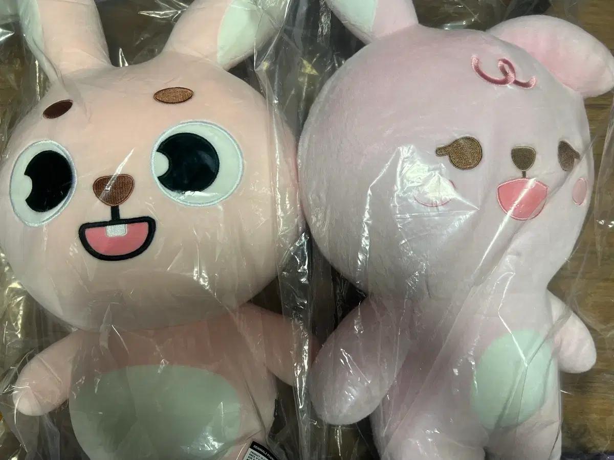 (택포)데이식스 자멀필+자쁘멀 필 일괄양도