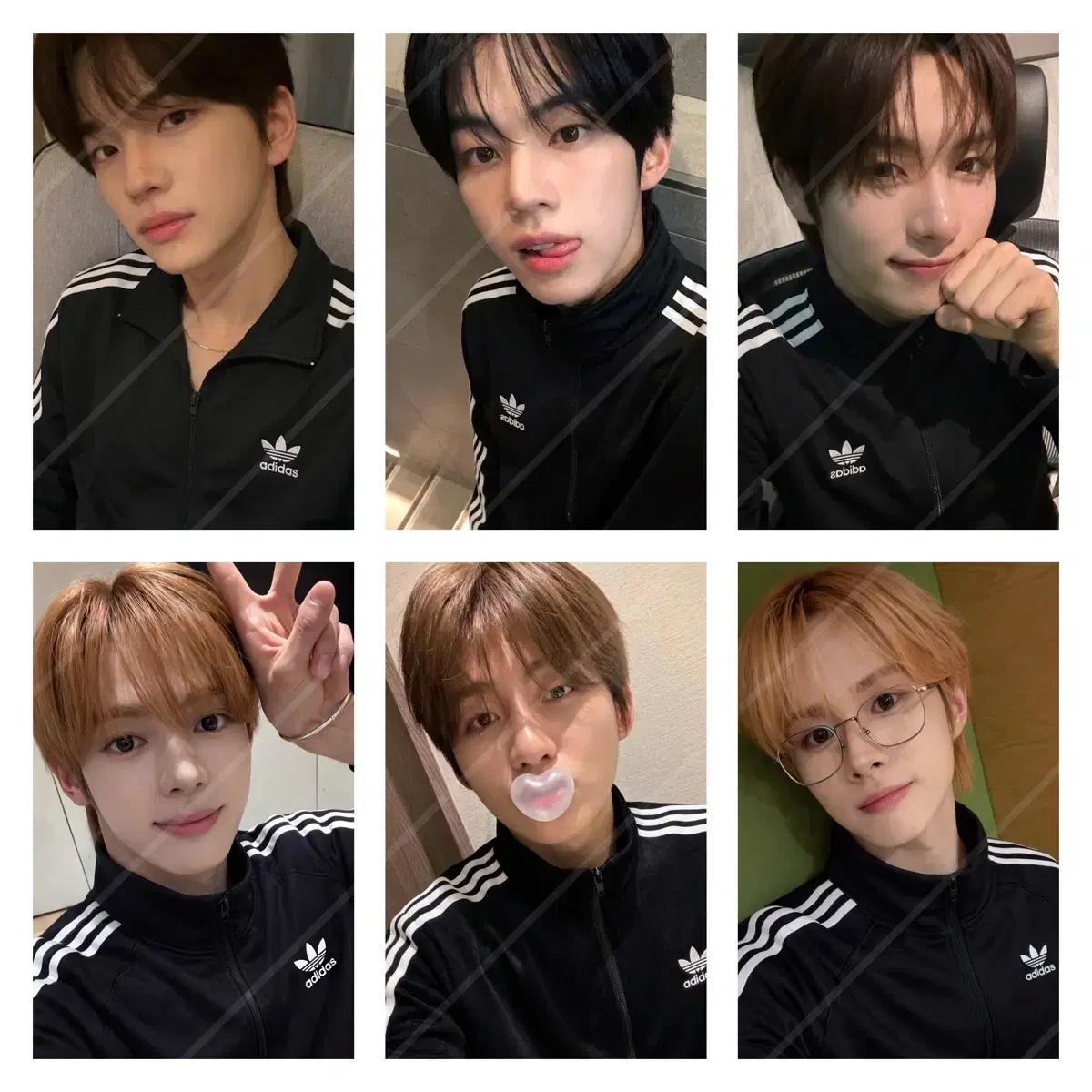 재고 2set) 투어스 아디다스 비공식 포카