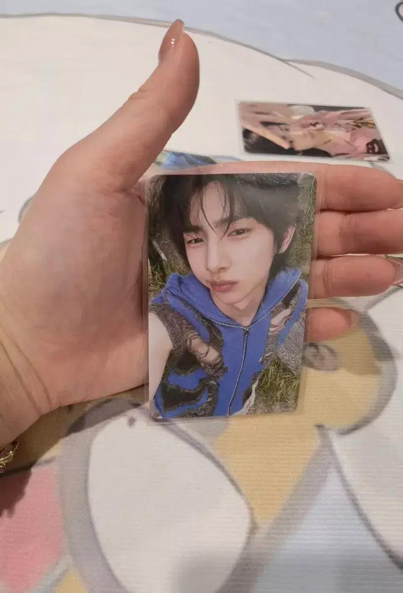 CORTIS 코르티스 김주훈 포카
