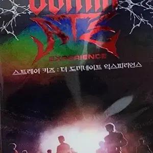스트레이키즈 dominate 스키즈 도미네이트 영화 댄스라차 엽서 특전
