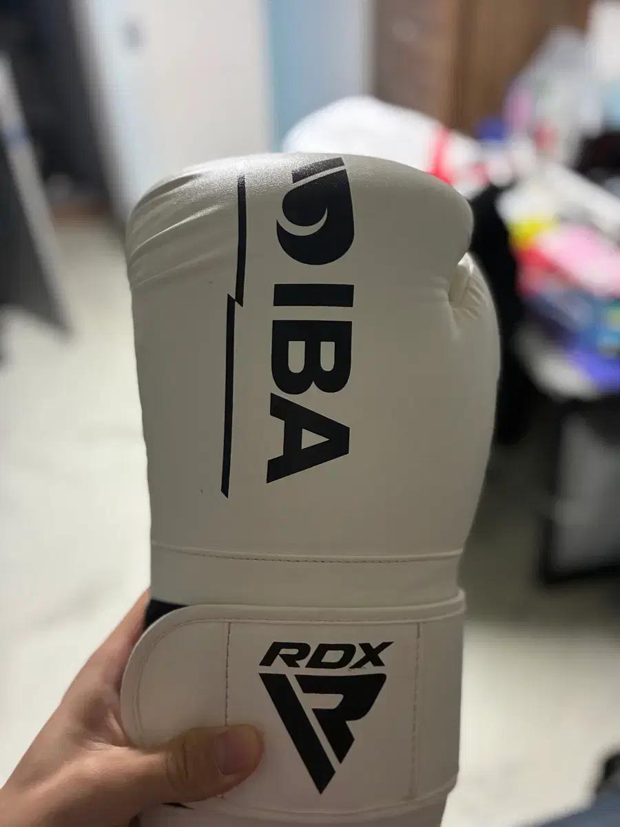 RDX IBA 복싱 글러브 화이트