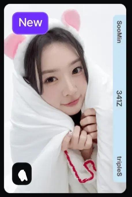 트리플에스 수민 341 오브젝트