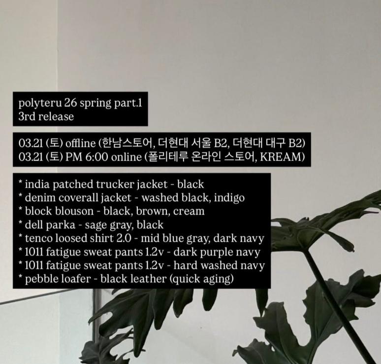 3.21 폴리테루 정가대리