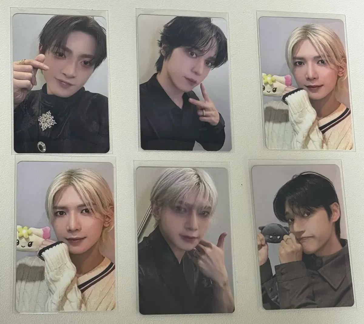 에이티즈 ateez 마이티즈 팝업 트레카