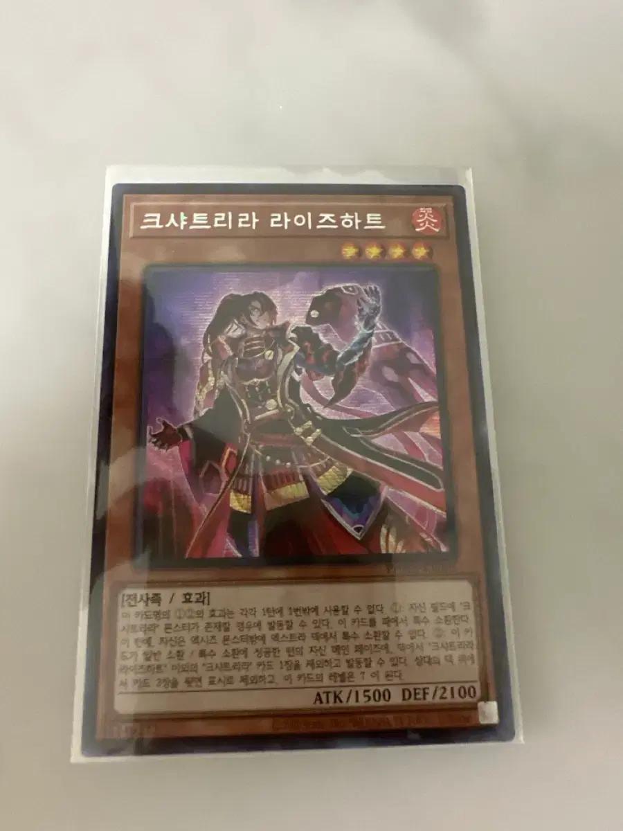 크샤트리라 라이즈하트 Secret rare
